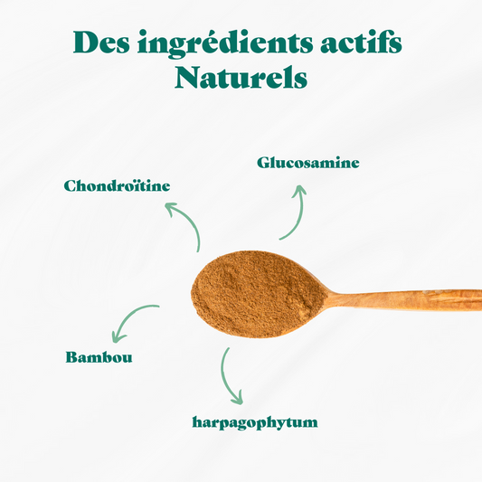 Complément alimentaire articulations naturel - Chien - 54g