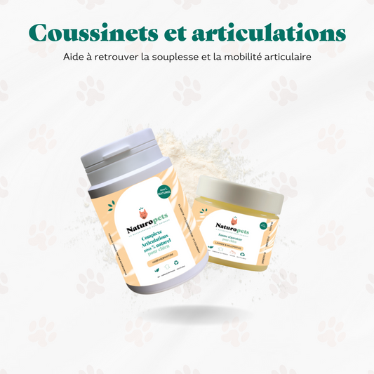 Pack Coussinets et articulations Chien 