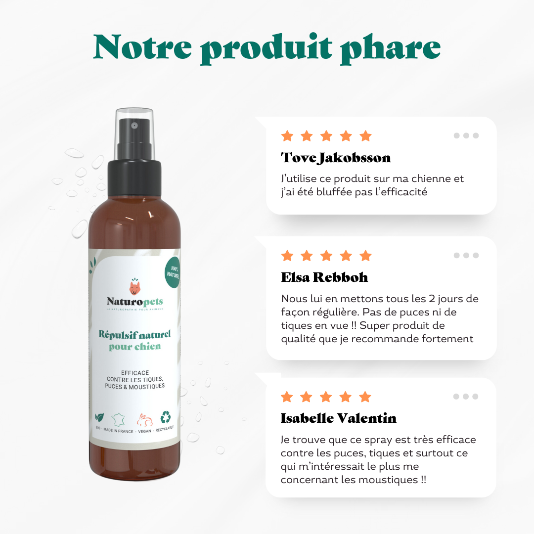 Répulsif anti moustique, puce et tique naturel pour chien - avis clients 