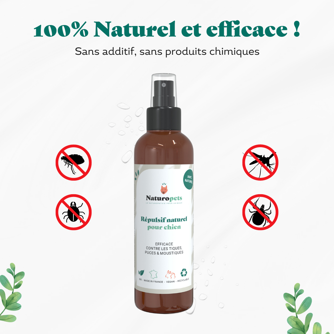 Répulsif anti moustique, puce et tique naturel pour chien - efficacité 