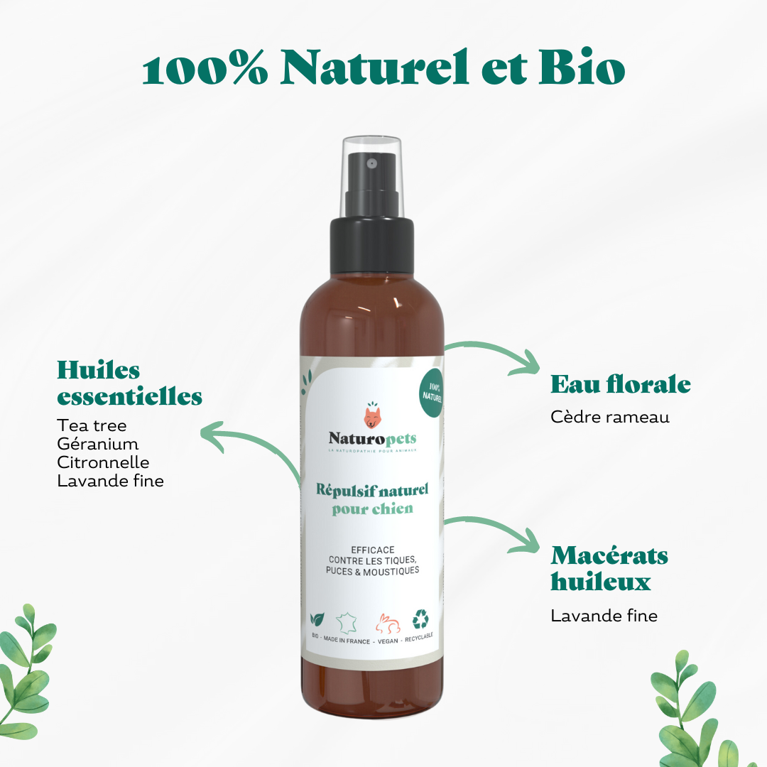 Répulsif anti moustique, puce et tique naturel pour chien - ingrédients 