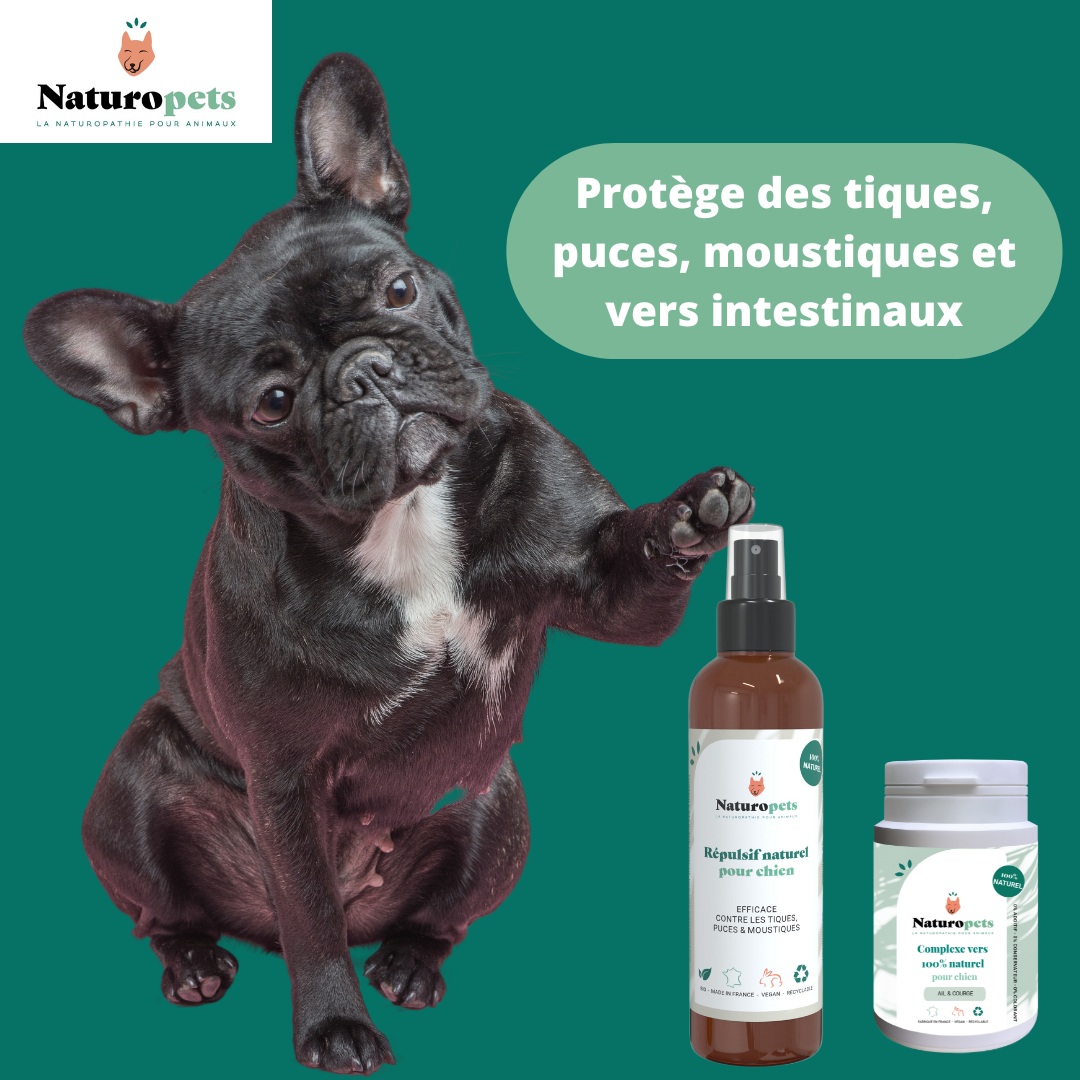 Pack antiparasitaire Chien